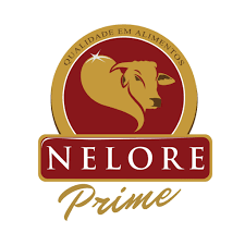 logo-3